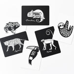 Wee Gallery Art Cards - Rainforest Collection