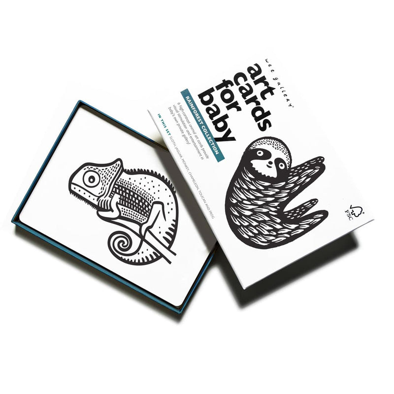Wee Gallery Art Cards - Rainforest Collection