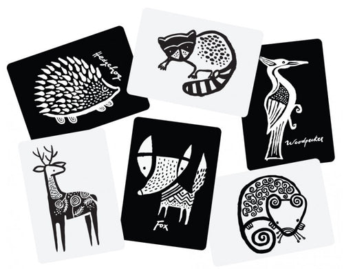 Wee Gallery Art Cards - Woodlands Collection