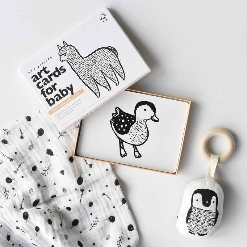 Wee Gallery Little Naturalist Gift Set